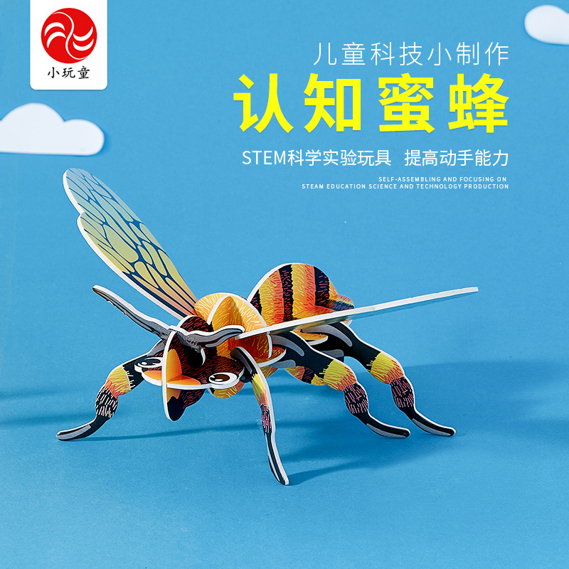 探秘蜜蜂的世界 兒童科學實驗玩具手工結合求知趣味